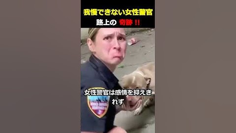 ㊗️100万回再生！警官と野良犬が紡ぐ運命の物語