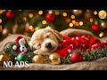 12 Hours Relaxing Dog Music 🐕🌙 Keep Your Dog Calm, Happy &amp; Rested | No Ads