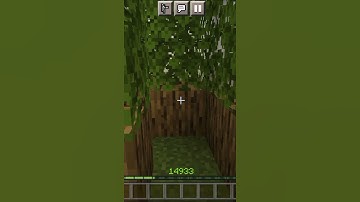 level 9 find the button maze #dream #minecraft #shorts #viralshorts