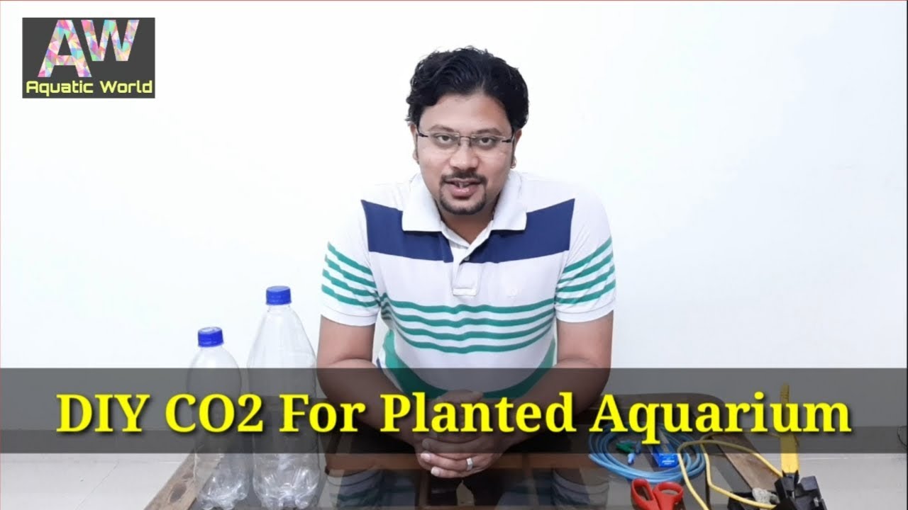 DIY CO2 For Planted Aquarium How to make co2 by using yeast & sugar YouTube