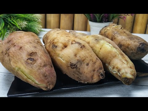 Cara Memasak Ubi