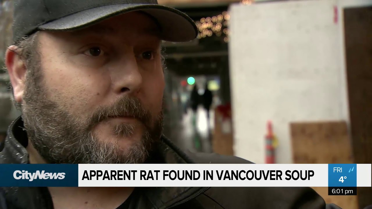 Apparent rat found in Vancouver soup