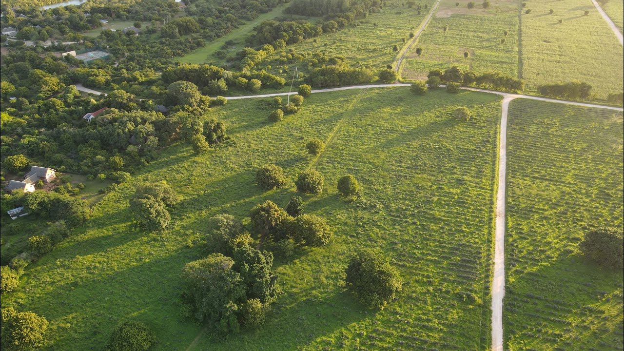 Green Land For Sale in Kilifi YouTube