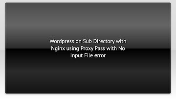 Wordpress on Sub Directory with Nginx using Proxy Pass with No Input File error