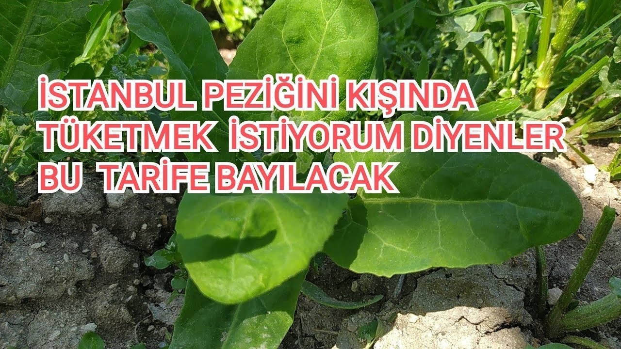 Kışın İstanbul pezigi tüketmek istiyorsanız bu yöntemi kullanın 