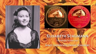 【クレデンザ1926×78rpmの邂逅】エリーザベト・シューマン　『シューベルト歌曲集』