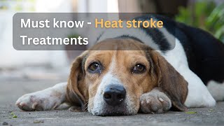 How to Treat Heat Stroke in Dogs - Quick and Effective Tips by Waggle TV 743 views 1 year ago 1 minute, 18 seconds