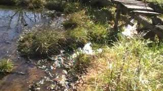 A Trolls Bridge In Southern Middle Tenn