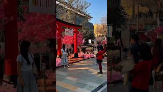 #shorts #youtubeshorts #trending # #youtubeshorts #tech# world #mark# delhi #surajyadav-e9d5d#