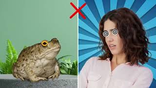 Things That HYPNOTIZE Every Animal