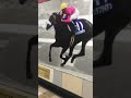 今年の有馬記念馬はなんだ？