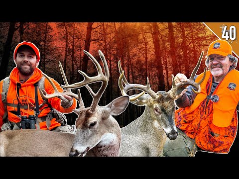 Southern Public Land Deer Hunting!!! - (Two Bucks Down)