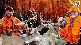 Southern Public Land Deer Hunting!!! - (Two Bucks Down)