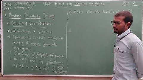 TYBSc MICRO SEM 5,502 CH 2 Heterotrophic Mode Of Metabolism PART 2 Parangat College MGurukul