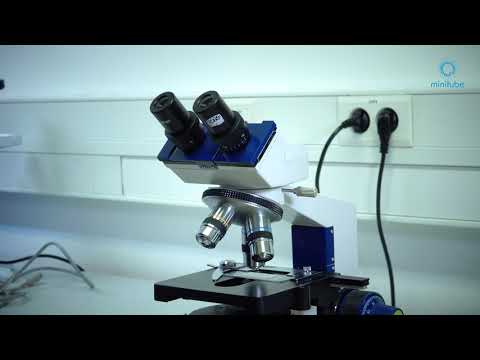 Wie stellt man ein Krüss Mikroskop ein