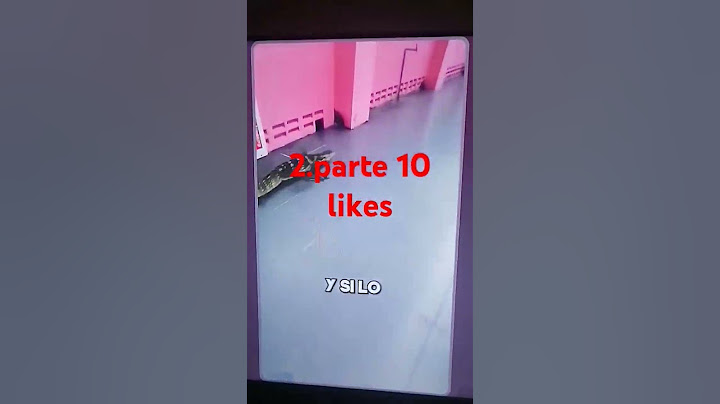 Este Cocodrilo se escapó del Zoológico pero...