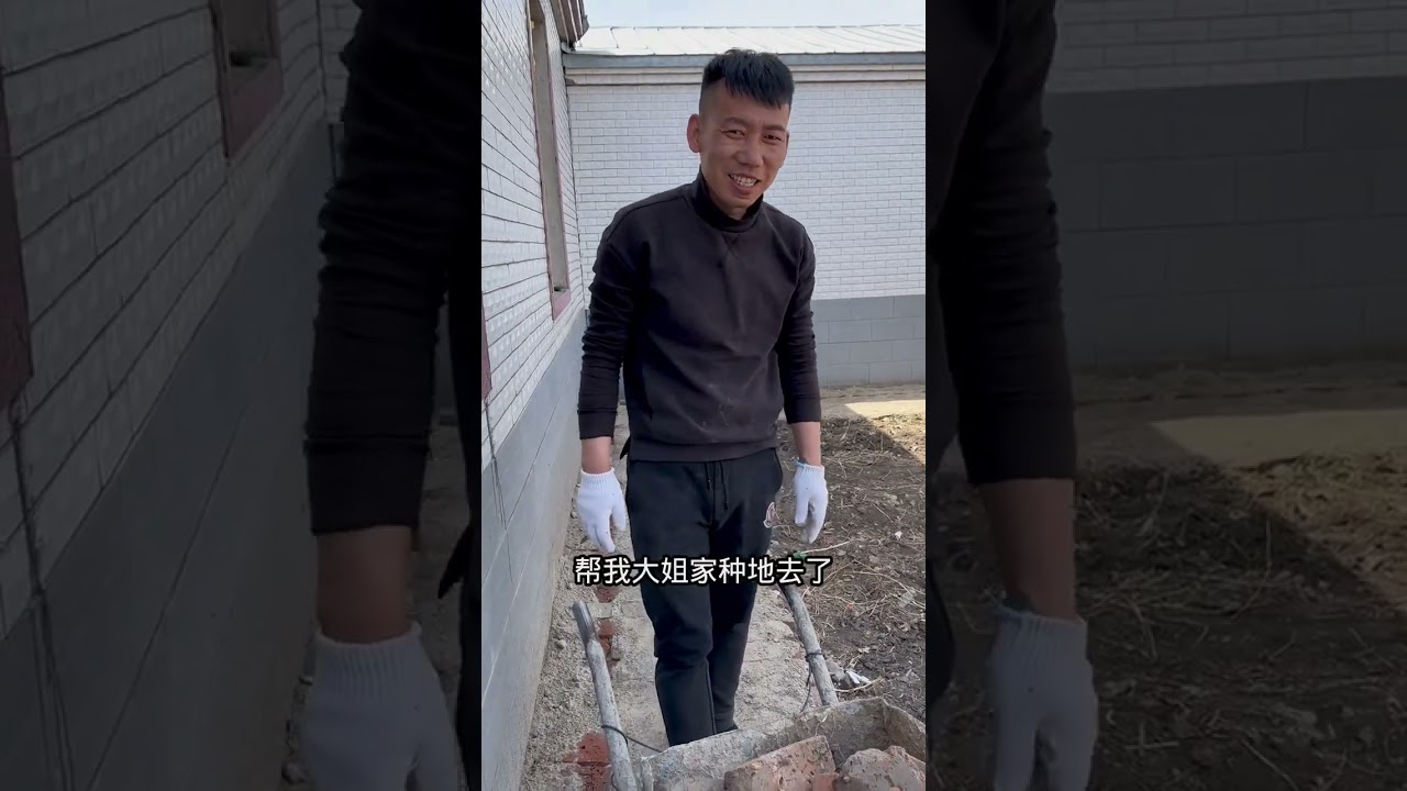 东北农村花52100元买的房子，小院改造中，我和婆婆栽果树，老公去给大姐家种地了，辛苦两个老爸，期待小院变美的样子！