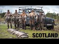 Goose Hunting in SCOTLAND!! (Pink-Footed Geese are AWESOME!)