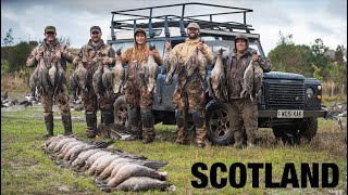 Goose Hunting in SCOTLAND!! (PinkFooted Geese are AWESOME!)