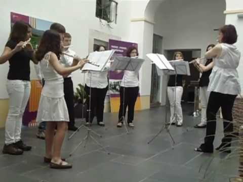 Eine Kleine Nachtmusik Mozart I Allegro Flute Quar...