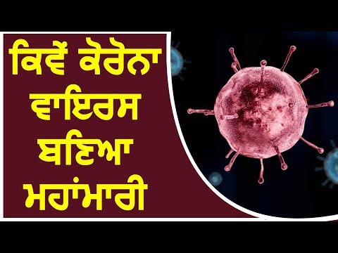 कैसे CoronaVirus बन गया महामारी