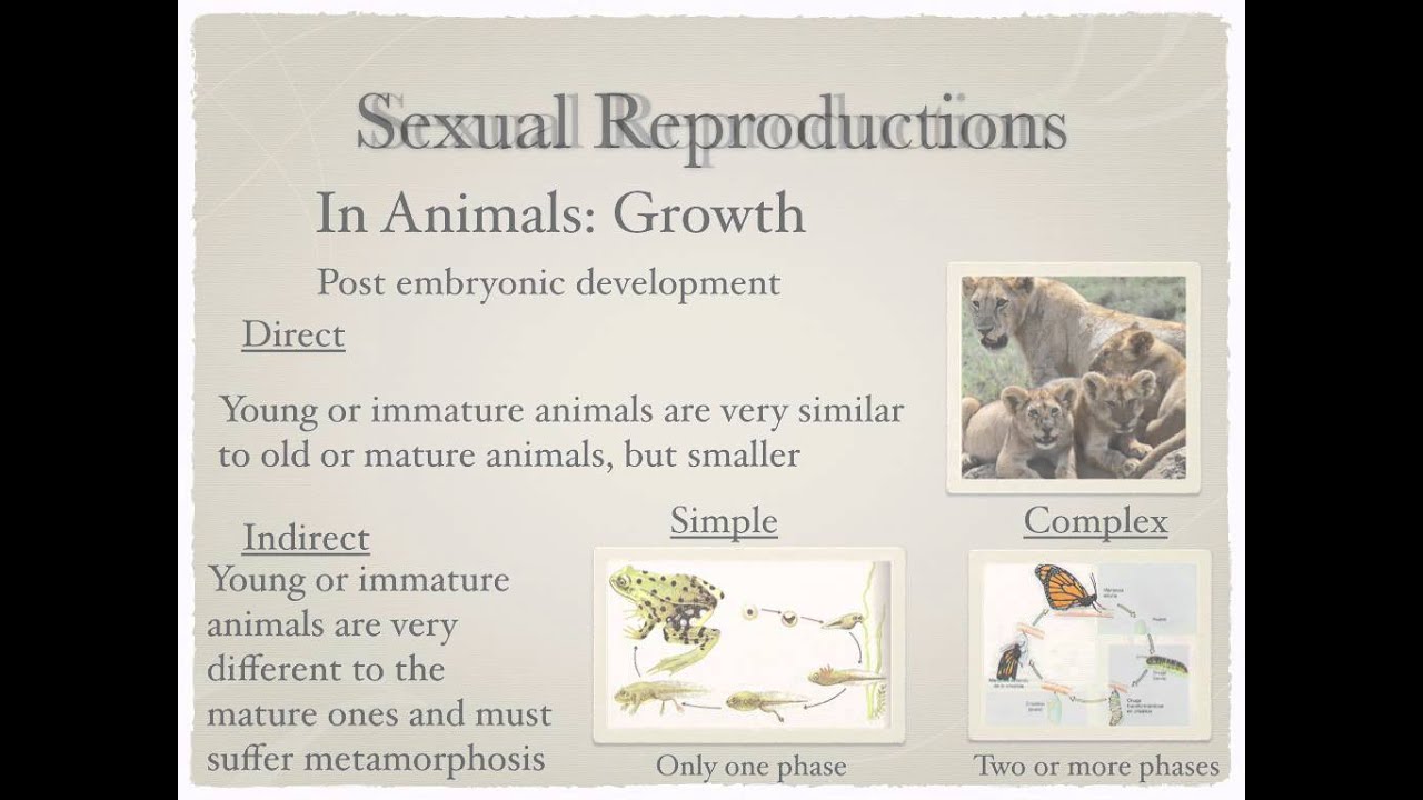 Reproduction: animal and plant reproduction.