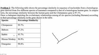 Phylogeny and Cladogram Pracitce 1