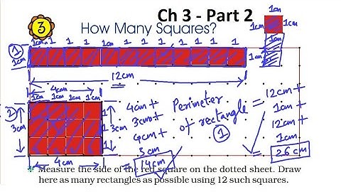 Maths Magic Class 5 | Ch 3 - Part 2 | How Many Squares?, Which rectangle has the longest perimeter?