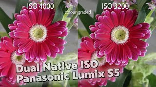 Panasonic Lumix S5: Dual Native ISO V-Log Comparison