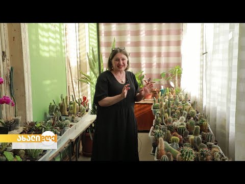 #ახალიდღე​ ნინო თურქია - პედაგოგი და ფლორისტი ქუთაისიდან