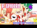 []A SPIDER!!🕷️🕸️ [] BakuDeku Got Punished??[]BkDk🧡💚[]+Bonus meme 🍀[]GC[]Read Description 🍄🍄