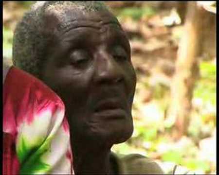 International Cocoa Initiative: Tackling Child Labour on Cocoa Growing  (Farmer Field Schools)