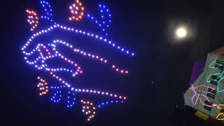 Cluj-Naoca ,Magie Si Culoare