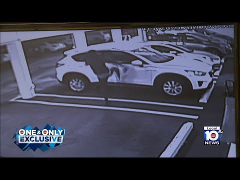 Police search for ring of crooks they say are vandalizing, burglarizing cars in Broward