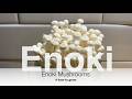 Enoki Mushrooms #howtogrowmushrooms #howto grow store bought enoki mushrooms
