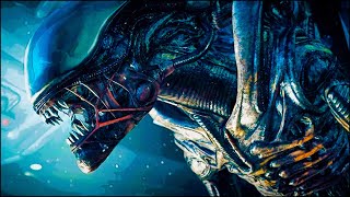 ¿Qué había dentro de la caja misteriosa? Evento de verano de steam - Minijuego intergalactico