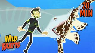 Tiger Shark Surprise | Creature Facts | Wild Kratts