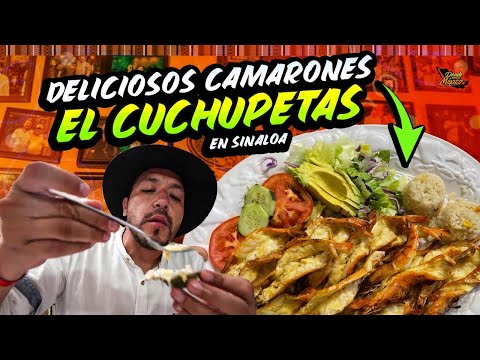 Los CAMARONES Más RICOS DE TODO SINALOA- El CUCHUPETAS | Mazatlán Día 26 #DondeIniciaMexicoLRG Los CAMARONES Más RICOS DE TODO SINALOA- El CUCHUPETAS | Mazatlán Día 26 #DondeIniciaMexicoLRG