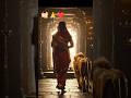 ✨🙏"मां कात्यायनी का दिव्य दर्शन" #freerishta #zarooratrishta #marriageproposals #shorts #ai
