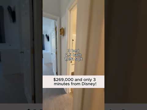 Thumbnail for The Short Term Shop