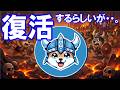 SOKOINUが復活！？仮想通貨＄SOKOは？ゲームRAGNAROKは？ＦＲＯＹはどうなる？？？