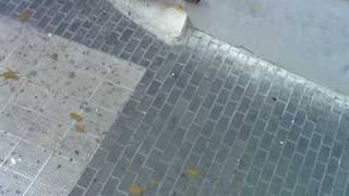 Bull Run 12Th July 2009 Moratalla