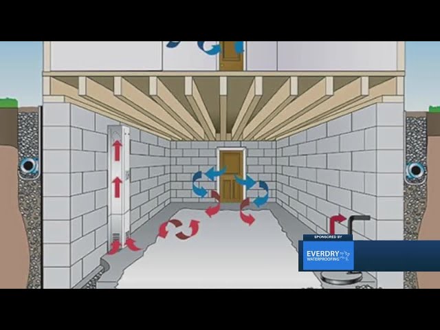 Everdry Waterproofing: How to waterproof your basement 