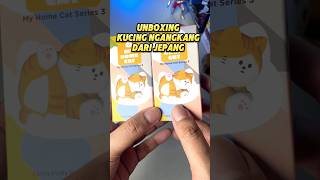 Blindbox Kucing Ngangkang? 