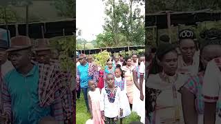 maasai traditional weddingdance  kenya africa africanculture  youtubeshorts