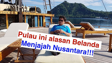 Pulau Run, Pulau yang Ditukar oleh Belanda kepada Inggris dengan Manhattan
