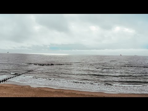 Cold Years - Life With A View (Official Visualiser)