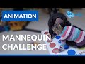 Mannequin challenge  cip tramelan