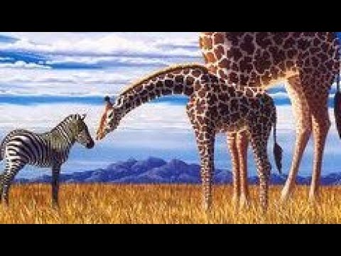 2025 JIMINOGENI DOTO UJUMBE WA SALM BY LWENGE STUDIO