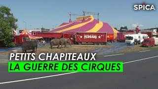 Petits chapiteaux, la guerre des cirques